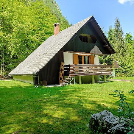 Chalet Via Mons Mojstrana Exteriér fotografie