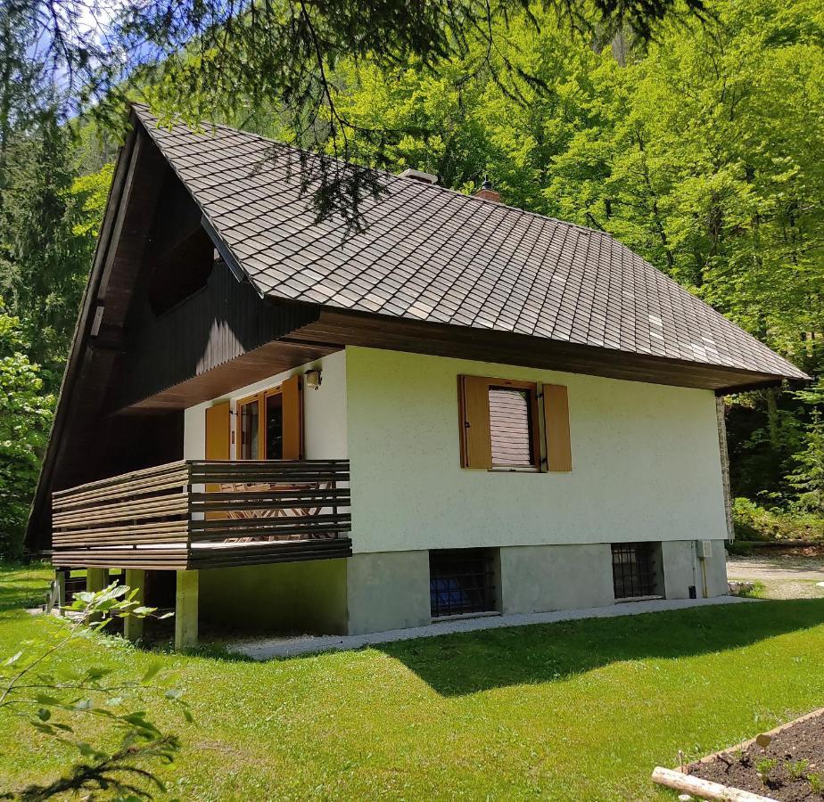 Chalet Via Mons Mojstrana Exteriér fotografie
